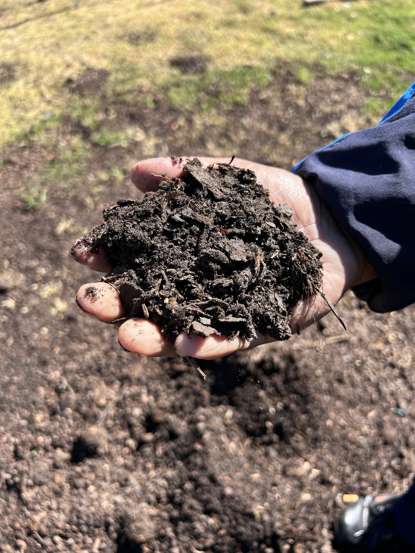 Rich fertile soil